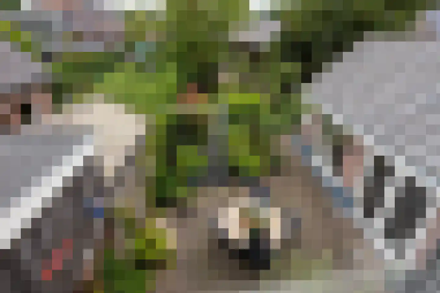 Nieuwstraat 18 Neede thumbnail 47