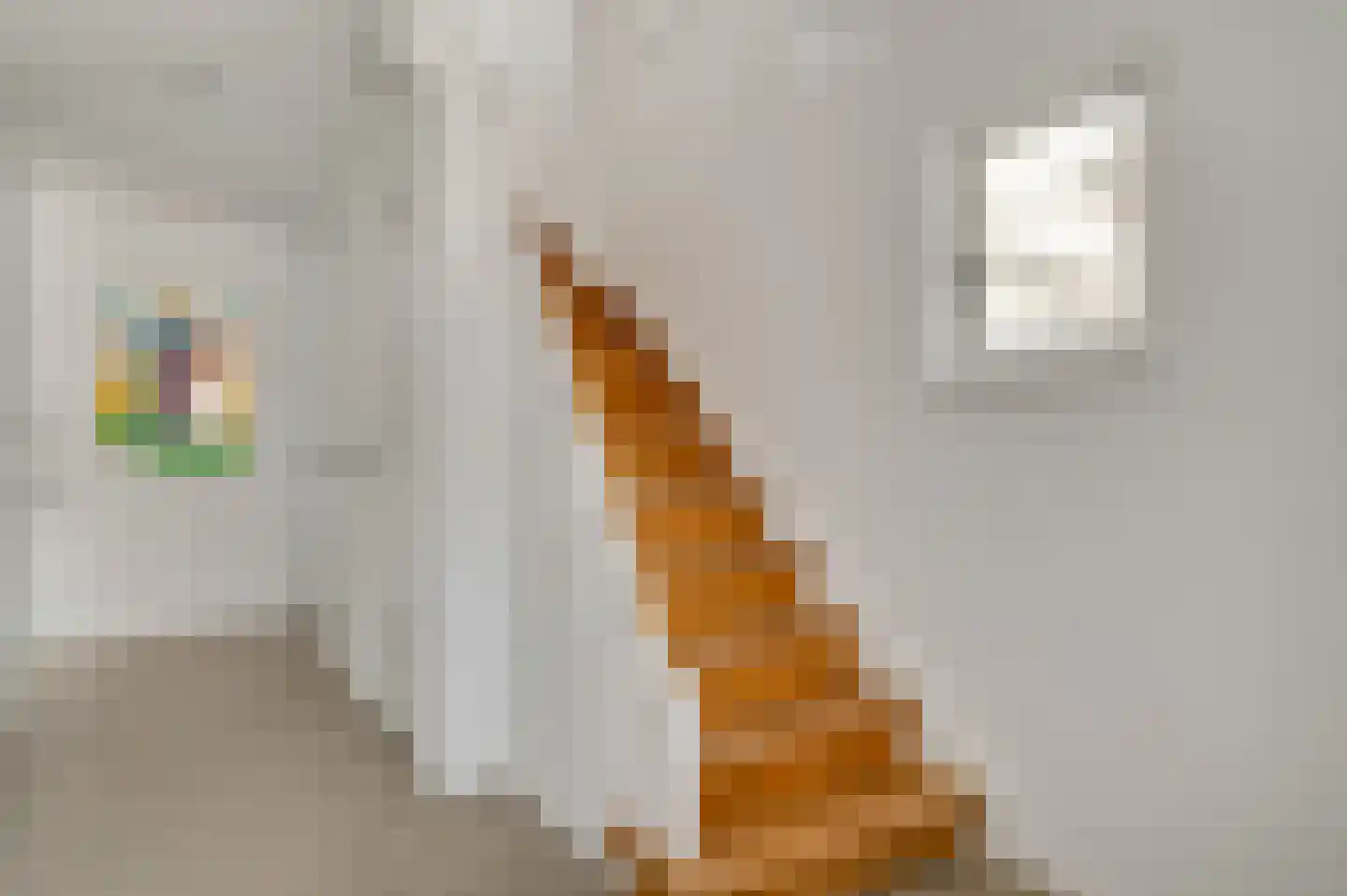 Nieuwstraat 18 Schimmert thumbnail 14