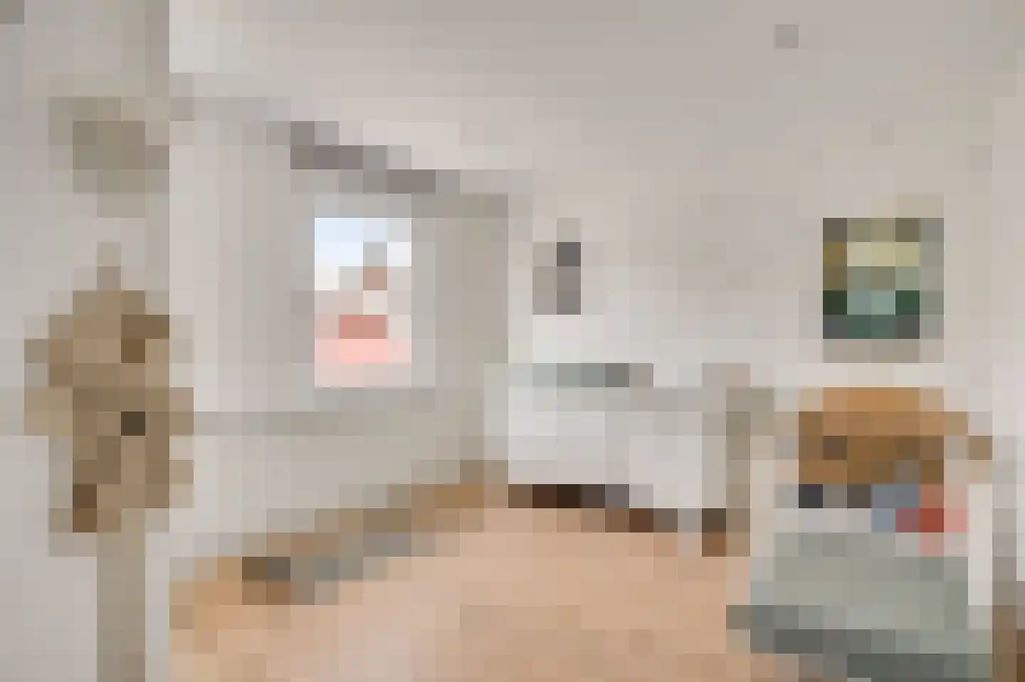 Nieuwstraat 18 Schimmert thumbnail 17