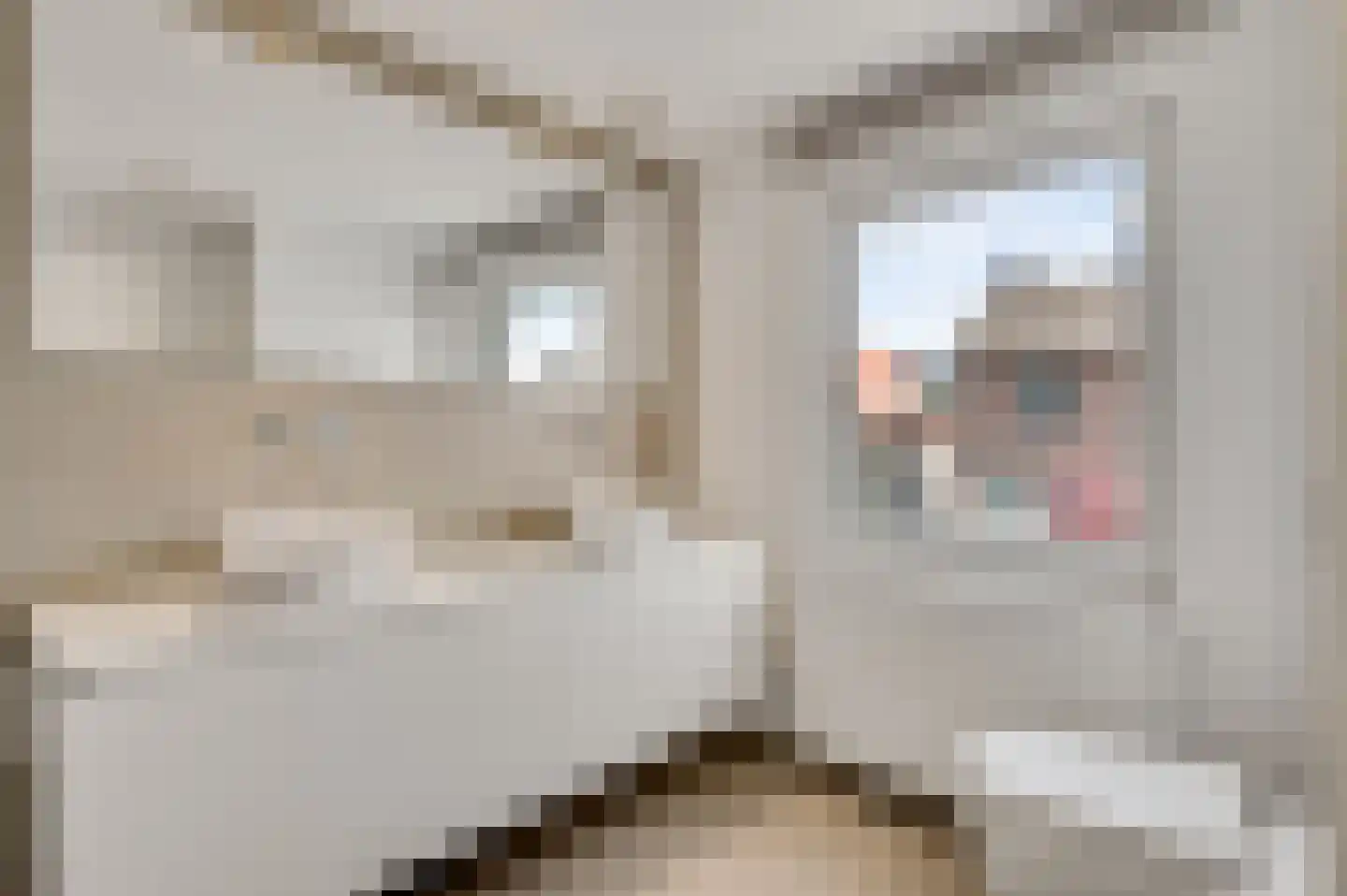 Nieuwstraat 18 Schimmert thumbnail 18