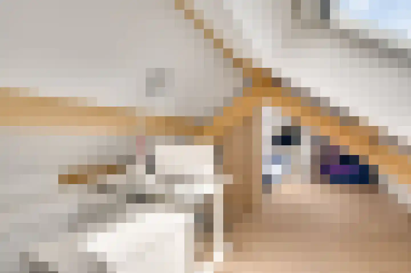 Nieuwstraat 18 Schimmert thumbnail 21