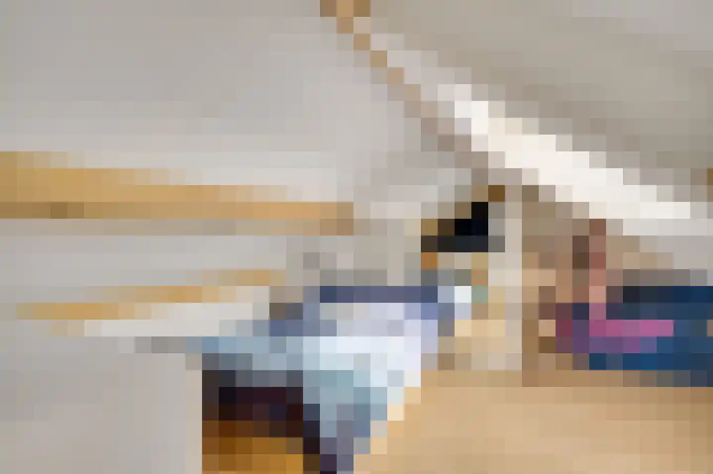 Nieuwstraat 18 Schimmert thumbnail 22