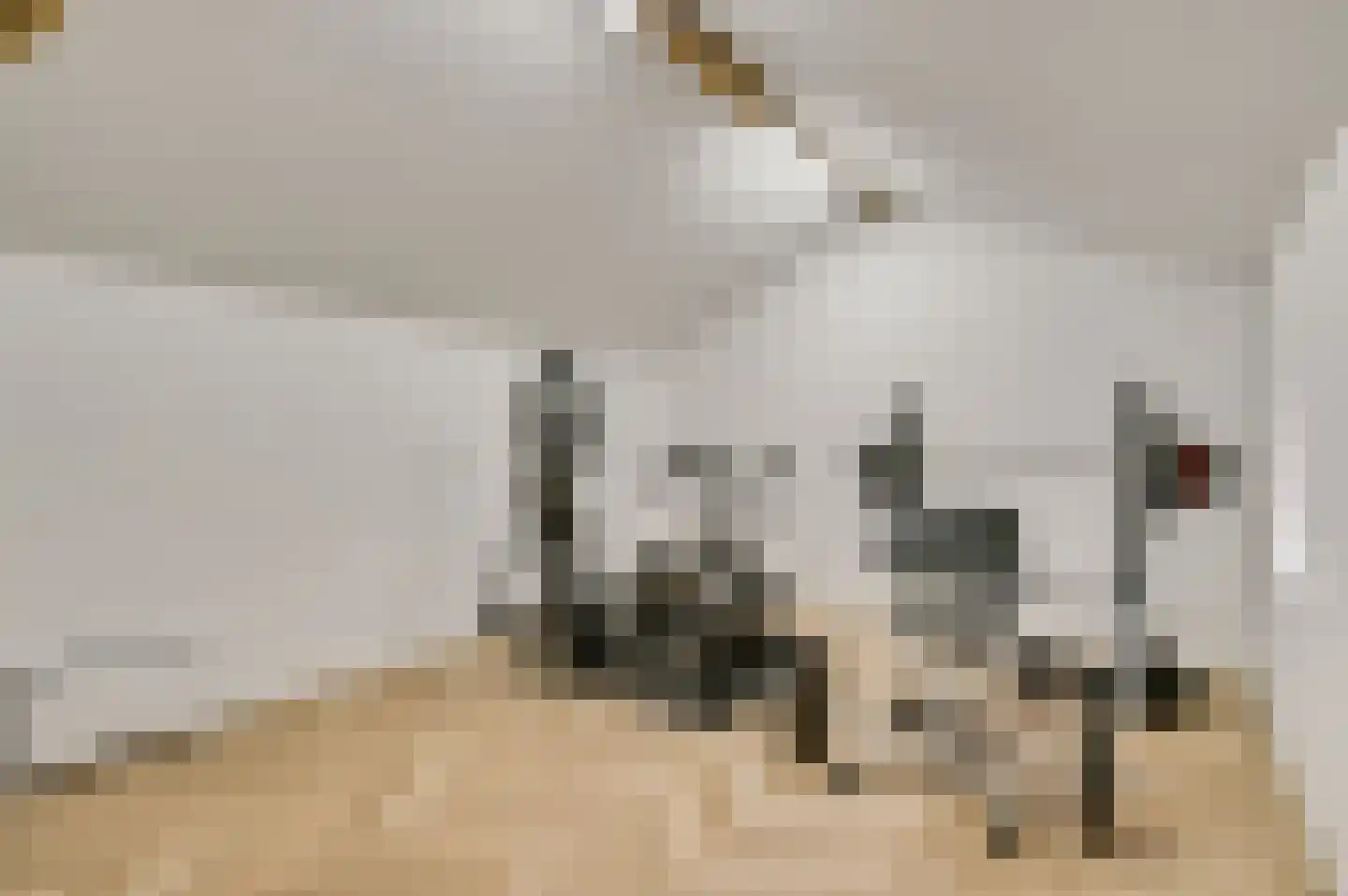 Nieuwstraat 18 Schimmert thumbnail 23