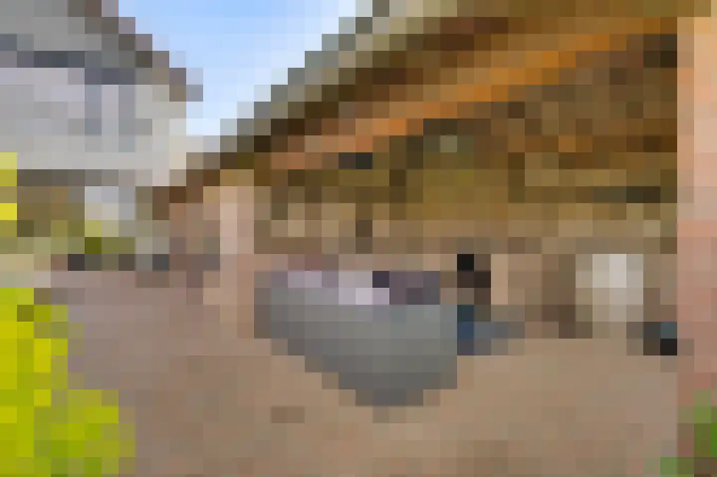 Nieuwstraat 18 Schimmert thumbnail 26