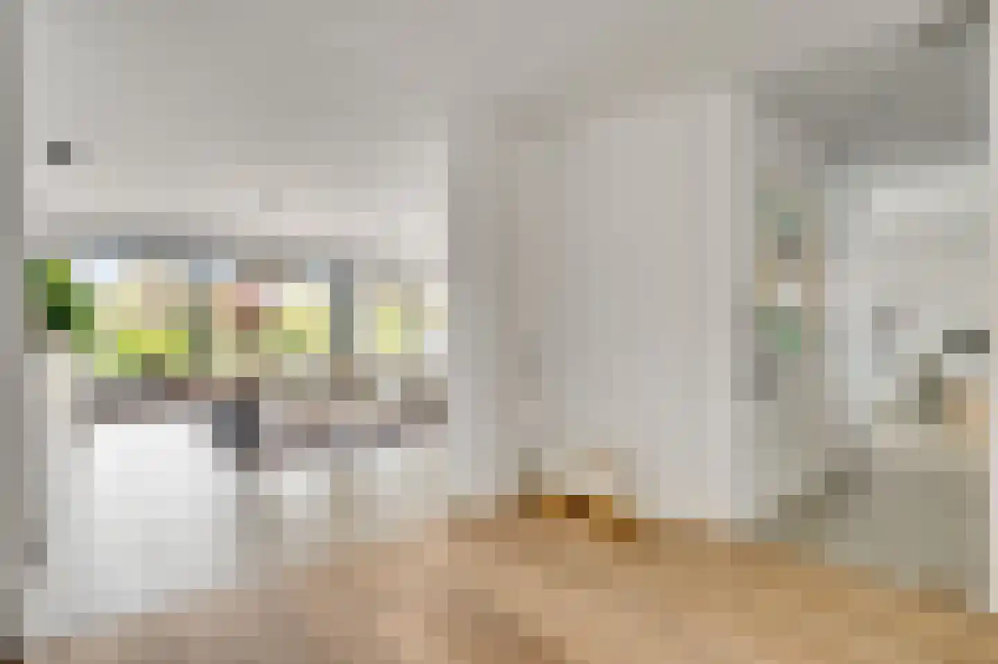 Nieuwstraat 18 Schimmert thumbnail 7