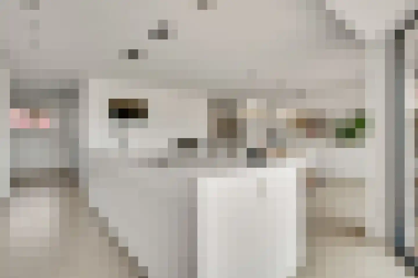 Nieuwstraat 18 Schimmert thumbnail 9