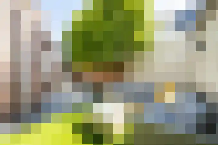 Nieuwstraat 18 Waalwijk thumbnail 33