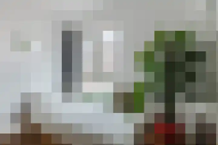 Nieuwstraat 18 Wageningen thumbnail 14