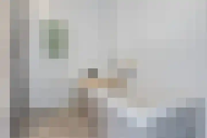 Nieuwstraat 18 Wageningen thumbnail 18