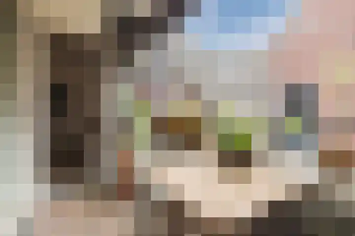 Nieuwstraat 18 Wageningen thumbnail 23