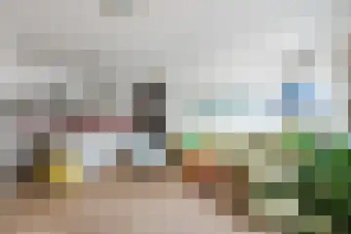 Nieuwstraat 18 Wageningen thumbnail 6