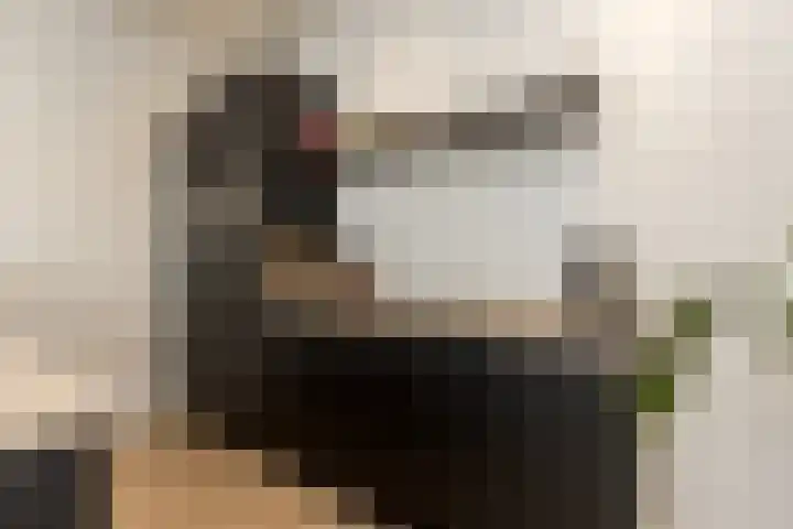 Nieuwstraat 18 Zaltbommel thumbnail 14