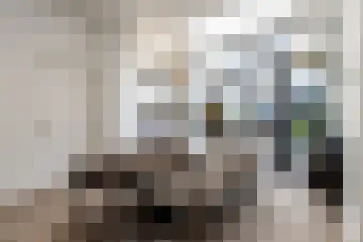 Nieuwstraat 18 Zaltbommel thumbnail 18