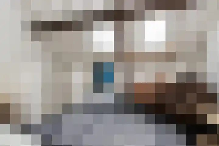 Nieuwstraat 18 Zaltbommel thumbnail 43