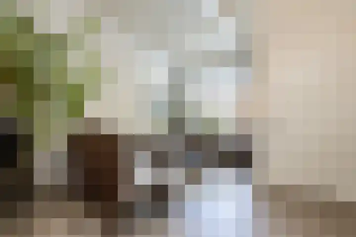 Nieuwstraat 18 Zaltbommel thumbnail 7