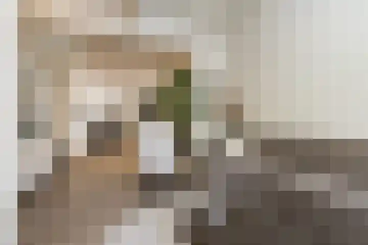 Nieuwstraat 18 Zaltbommel thumbnail 8