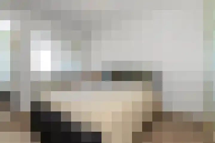 Nieuwstraat 19 a Gemert thumbnail 11
