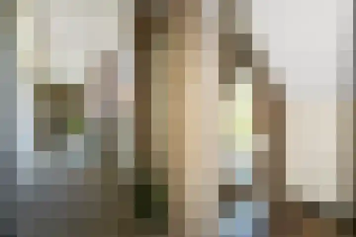 Nieuwstraat 19 a Gemert thumbnail 16