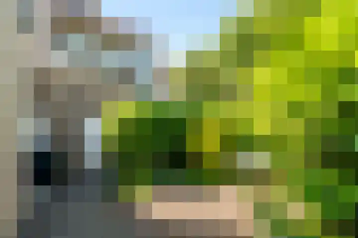 Nieuwstraat 19 a Gemert thumbnail 17