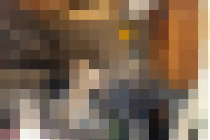 Nieuwstraat 19 a Gemert thumbnail 18