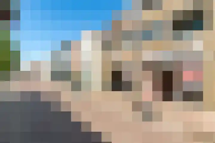 Nieuwstraat 19 a Gemert thumbnail 19