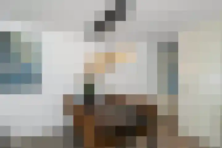 Nieuwstraat 19 a Gemert thumbnail 6