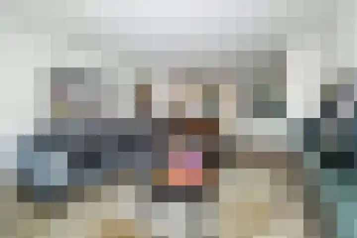 Nieuwstraat 19 a Gemert thumbnail 9