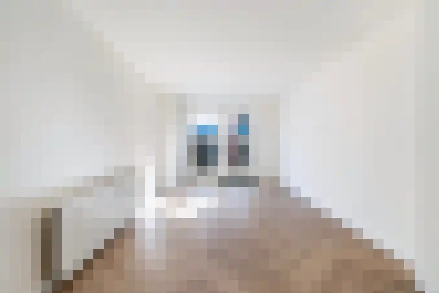 Nieuwstraat 19 A Schiedam thumbnail 18