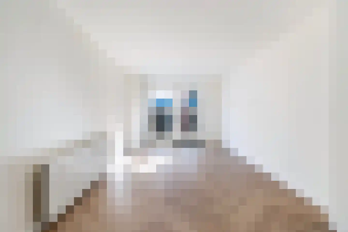 Nieuwstraat 19 A Schiedam thumbnail 19
