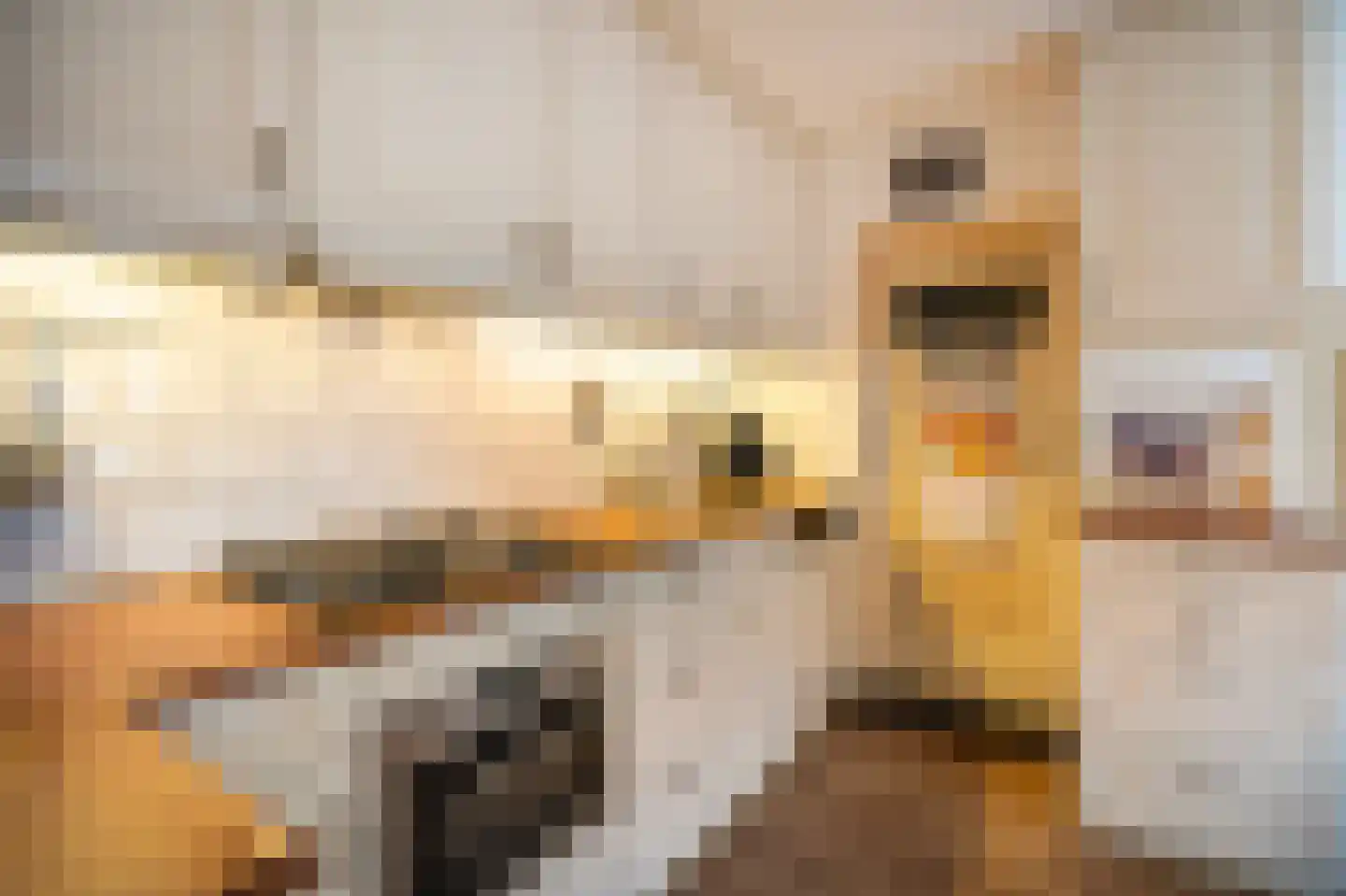 Nieuwstraat 19 Asperen thumbnail 13