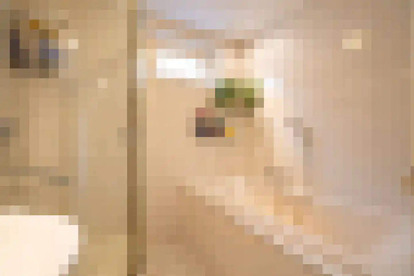 Nieuwstraat 19 Asperen thumbnail 16