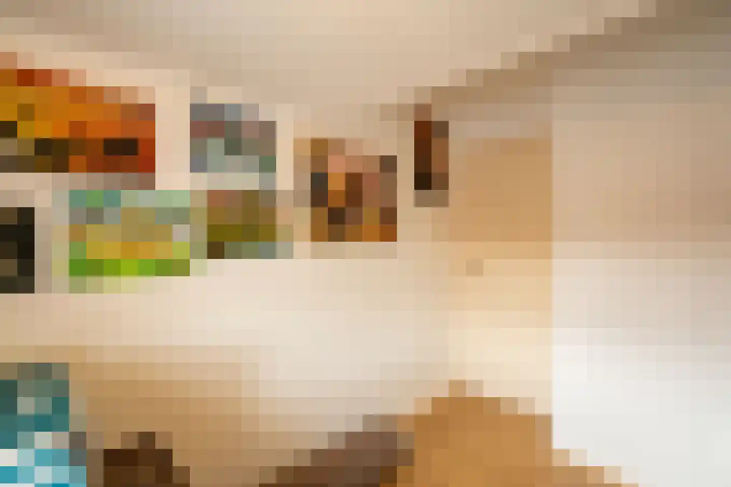 Nieuwstraat 19 Asperen thumbnail 22