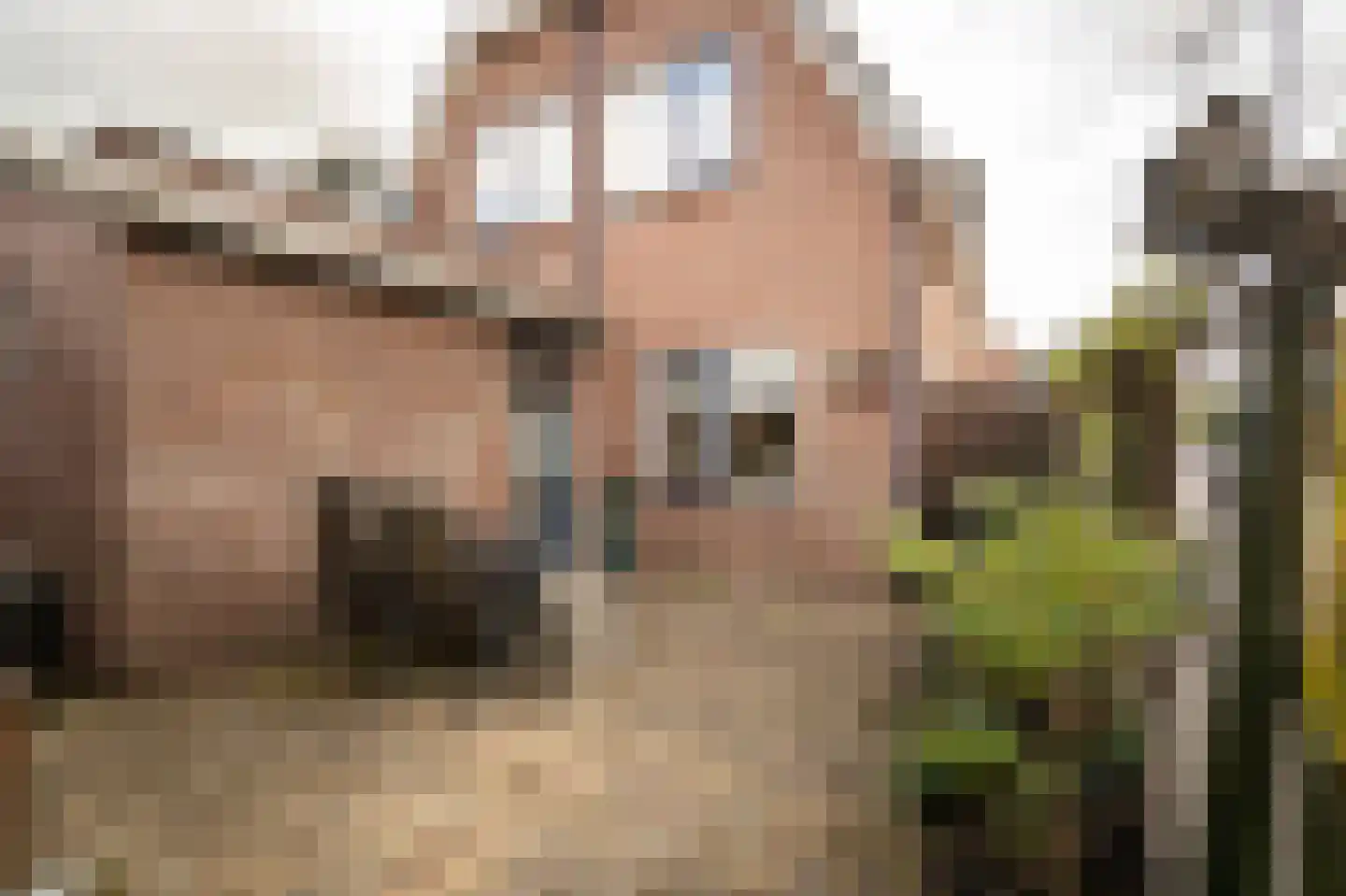Nieuwstraat 19 Asperen thumbnail 29