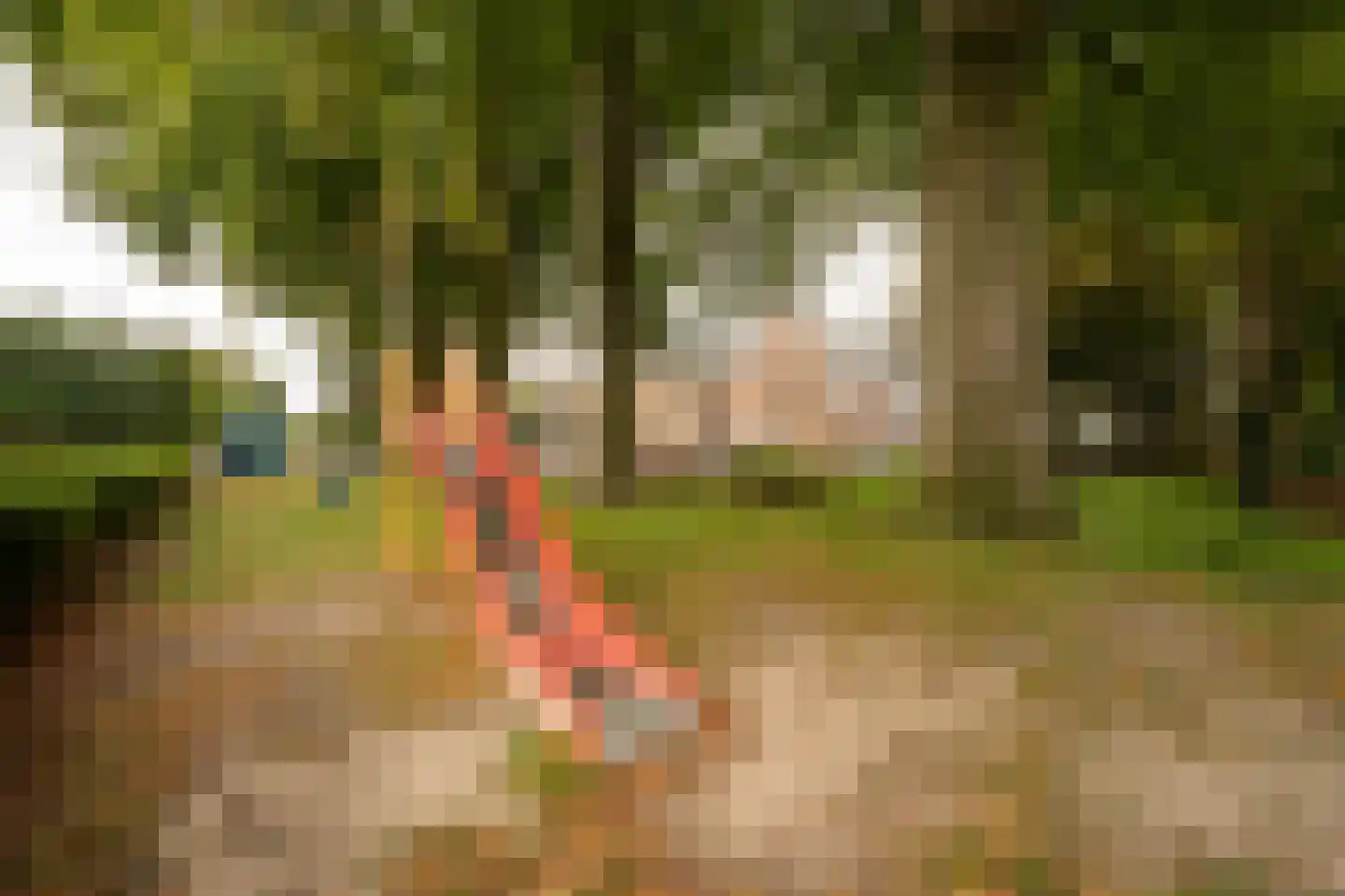Nieuwstraat 19 Asperen thumbnail 31