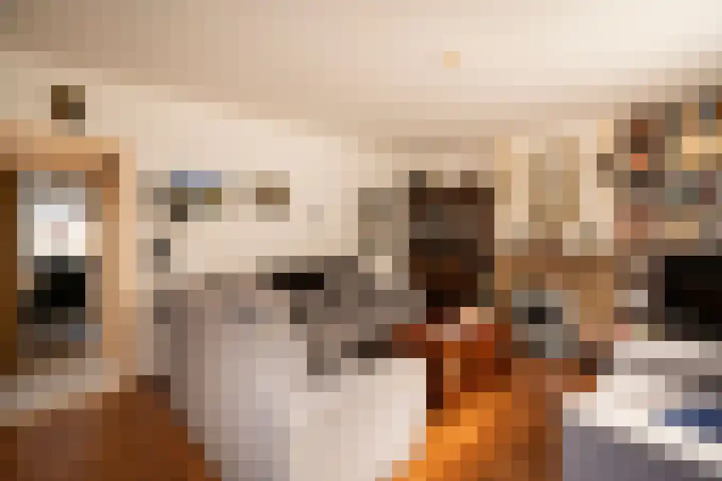 Nieuwstraat 19 Asperen thumbnail 7