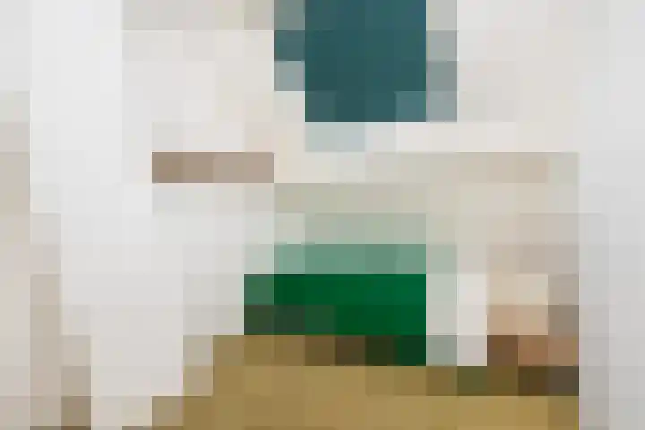 Nieuwstraat 19 Herkingen thumbnail 22