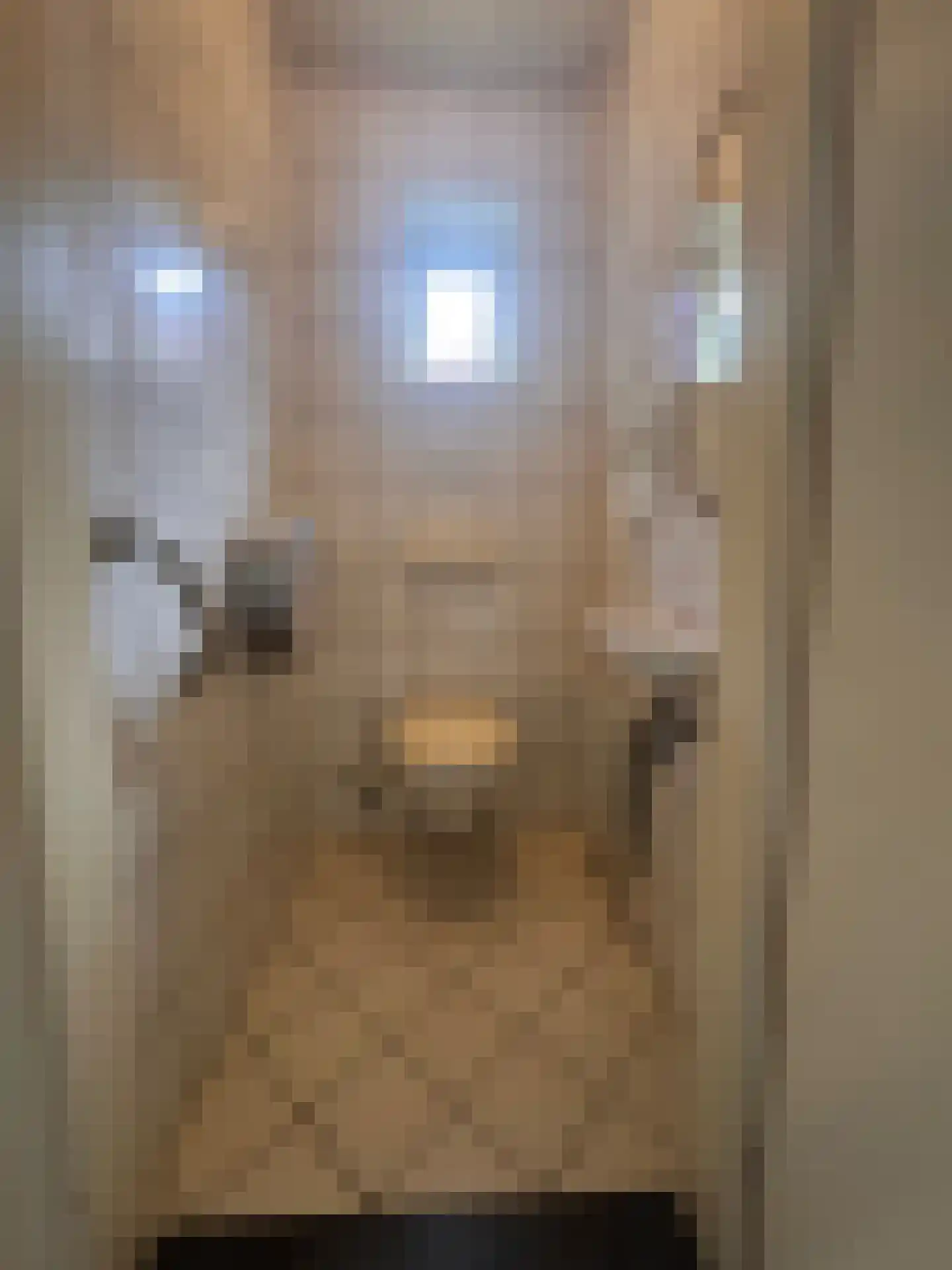 Nieuwstraat 19 Koewacht thumbnail 13