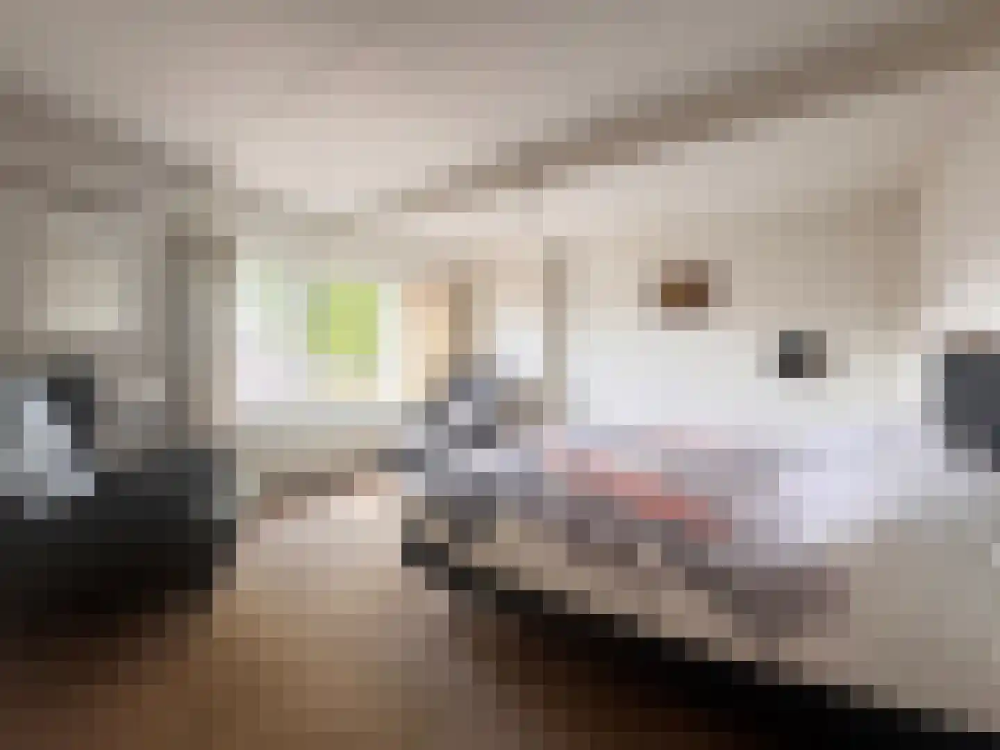 Nieuwstraat 19 Koewacht thumbnail 18