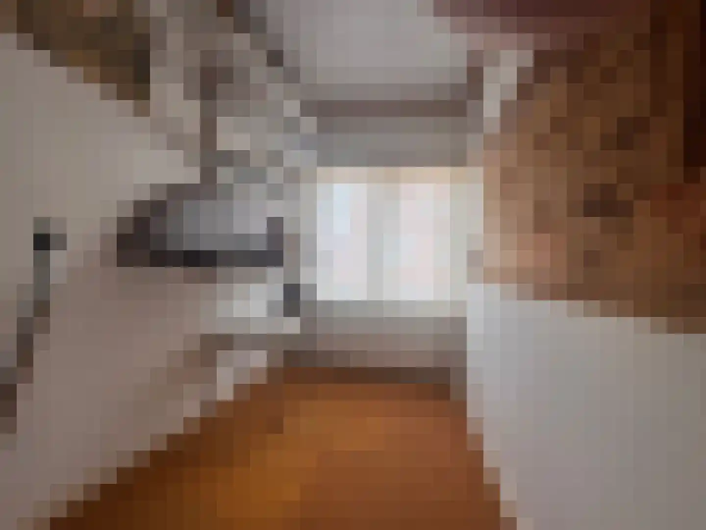 Nieuwstraat 19 Koewacht thumbnail 20