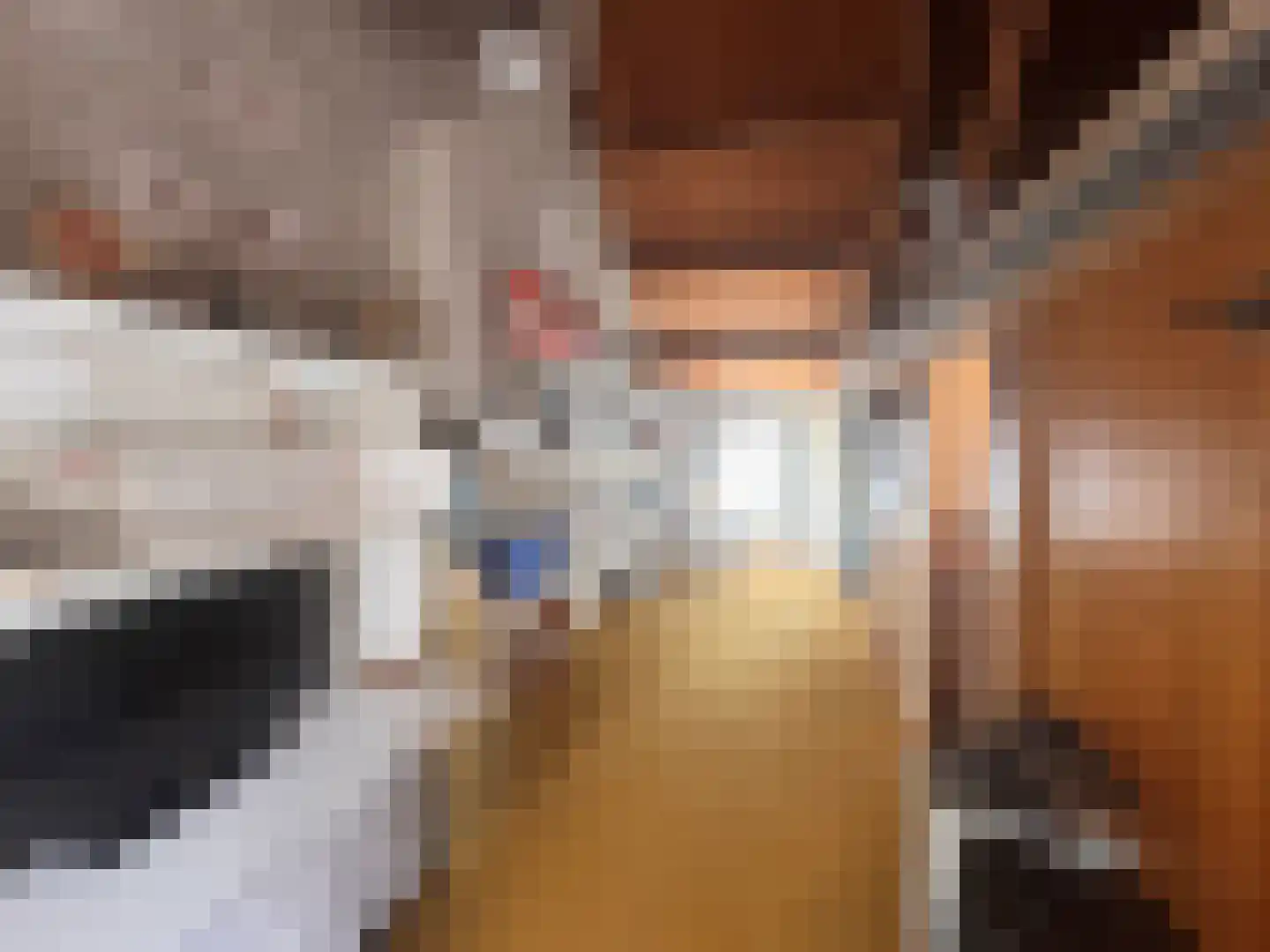 Nieuwstraat 19 Koewacht thumbnail 21