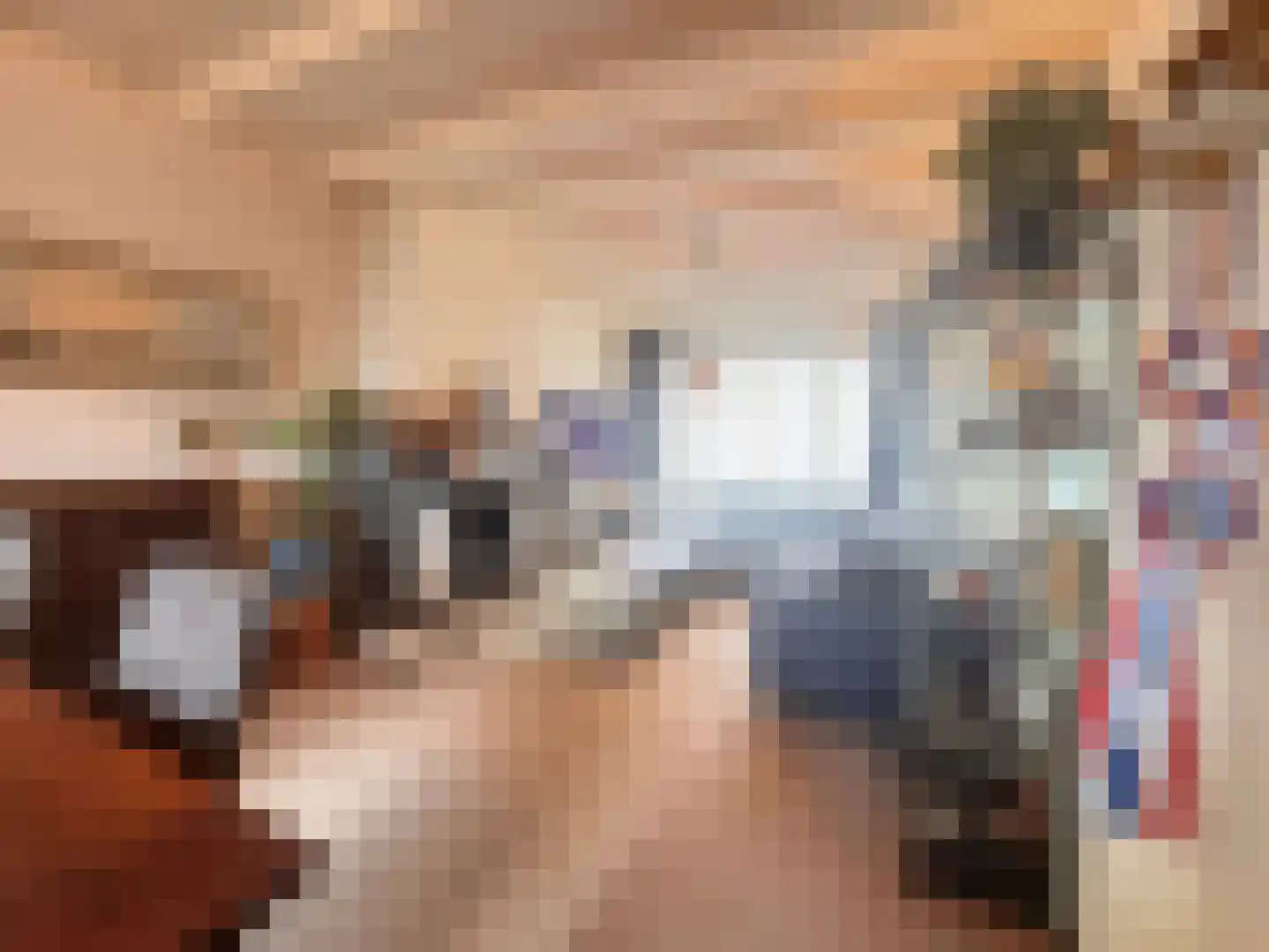 Nieuwstraat 19 Koewacht thumbnail 6