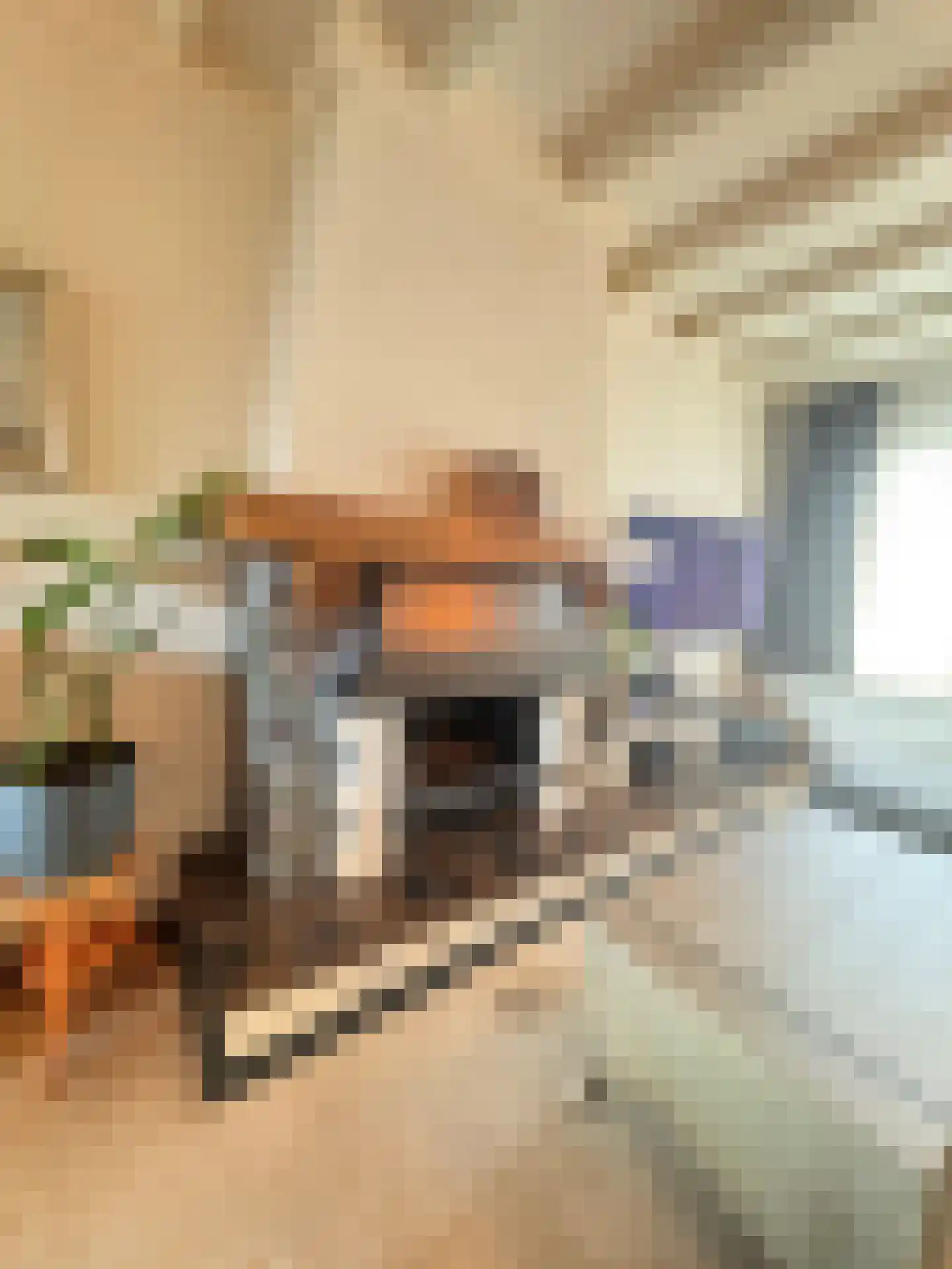 Nieuwstraat 19 Koewacht thumbnail 7