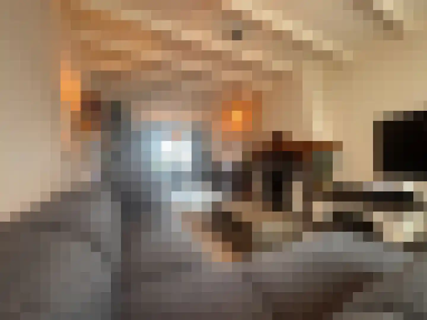 Nieuwstraat 19 Koewacht thumbnail 9
