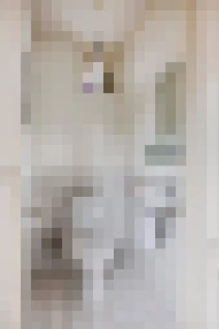 Nieuwstraat 19 Liempde thumbnail 22