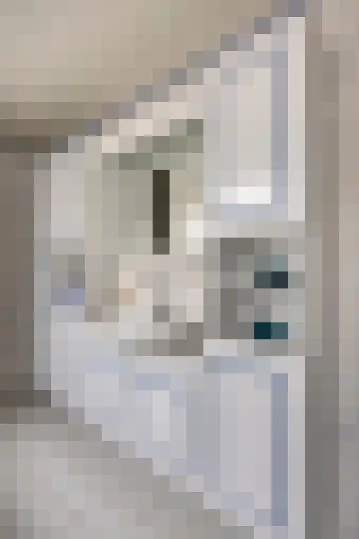 Nieuwstraat 19 Liempde thumbnail 32