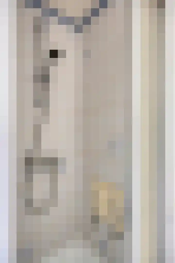 Nieuwstraat 19 Liempde thumbnail 33