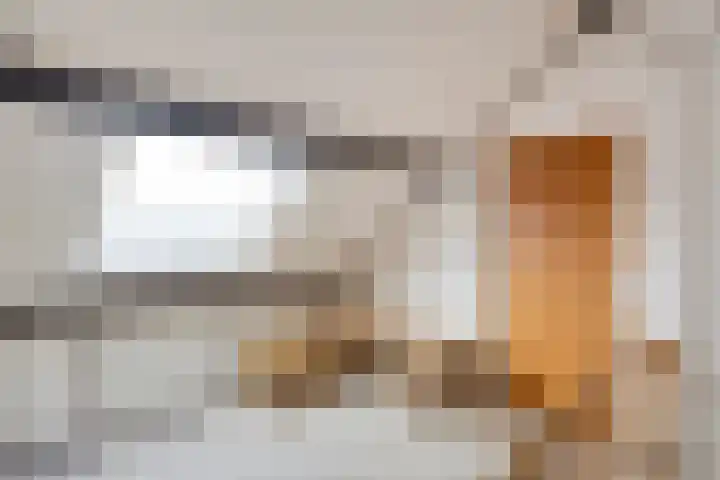 Nieuwstraat 19 Liempde thumbnail 34