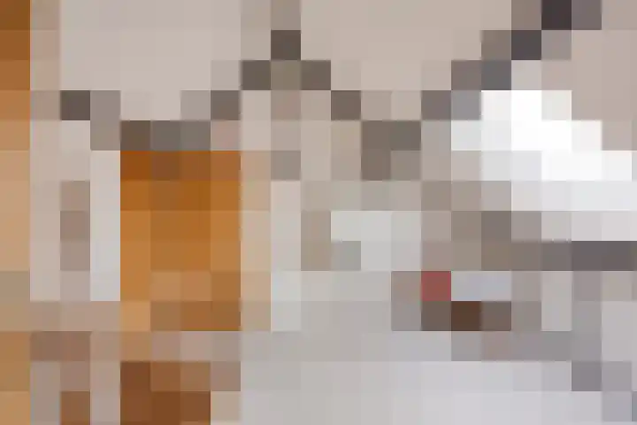 Nieuwstraat 19 Liempde thumbnail 35