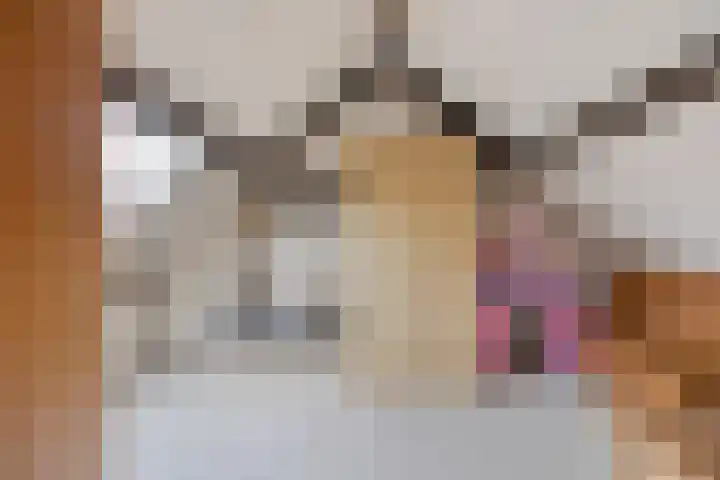 Nieuwstraat 19 Liempde thumbnail 38