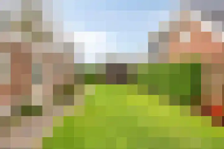 Nieuwstraat 19 Liempde thumbnail 40